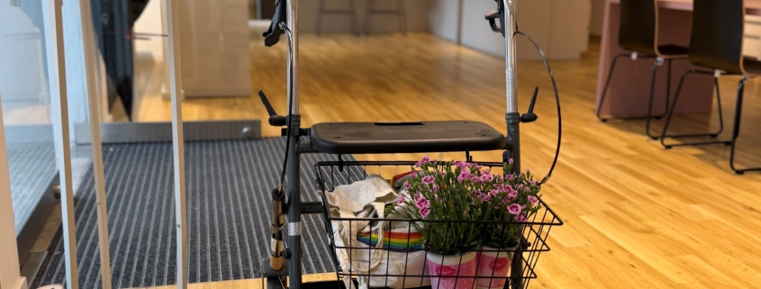 Der barrierefreie Optikerladen von Augensache Brille Kontaktlinse in der Friedberger Innenstadt. Die großzügigen Innenräume sind mit Rollator, Kinderwagen und Gehhilfen sehr gut begehbar und laden zum Sehtest ein.